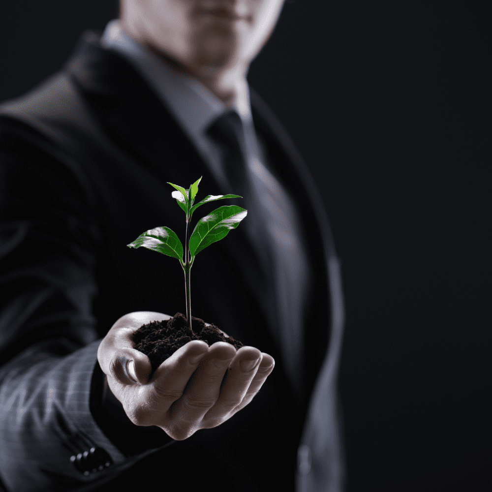 Untitled design (88)